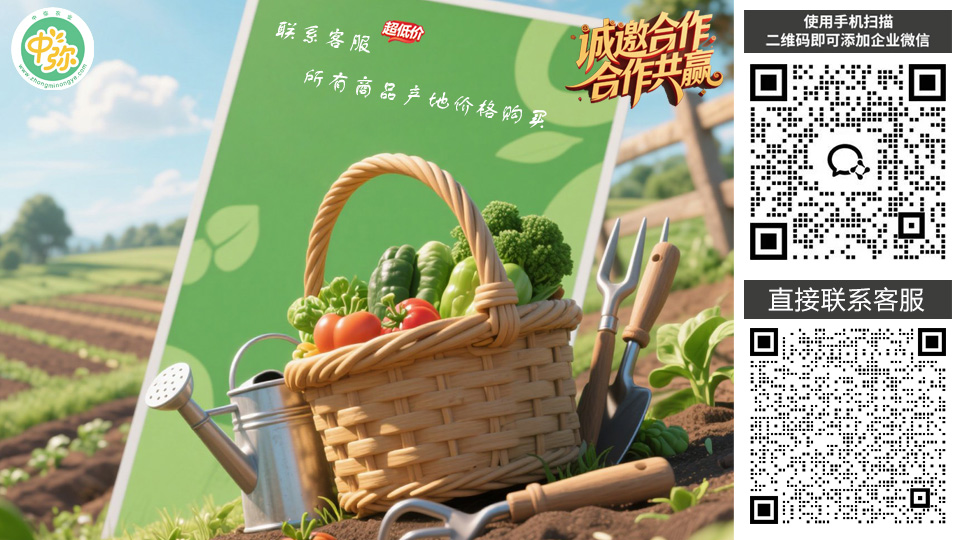 添加客服微信
