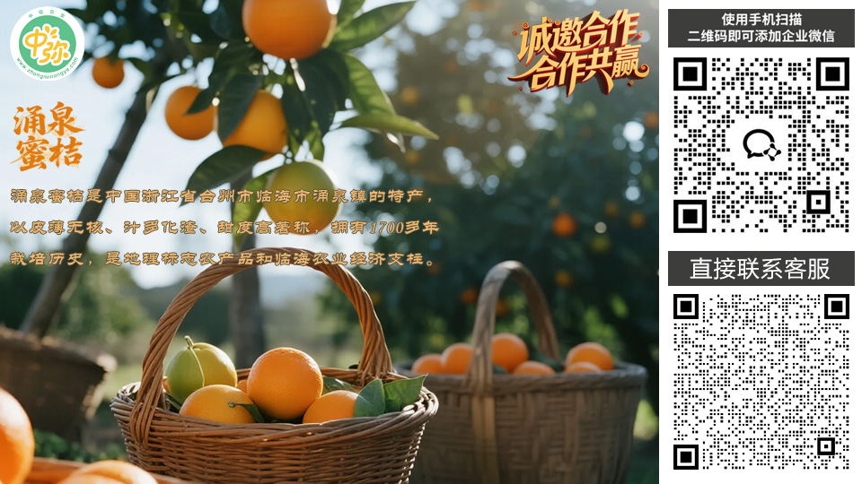 涌泉蜜桔